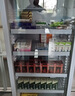 扬子（YANGZI）药品阴凉柜冷藏柜医用冰箱药房药店展示柜GSP认证药品柜保温柜医院诊所疫苗医药公司 单门260L丨全铜管制冷丨一级能效 【阴凉冷藏双模式丨东贝压缩机丨2026最新款】 实拍图