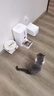 皇家猫粮 英短成猫粮 BS34 通用粮 12月以上 10KG 实拍图