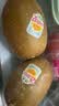 佳沛（zespri）新西兰 阳光金奇异果12粒特大果单果124-146g 猕猴桃水果礼盒 实拍图