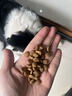 冠能狗粮小型犬成犬狗粮2.5kg 挑食美毛亮眼 全价狗粮  实拍图