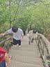 安小侠户外充气沙发音乐节懒人便携露营气垫床空气沙发房车野营必备 实拍图