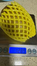 佳沛（zespri）新西兰 阳光金奇异果12粒特大果单果124-146g 猕猴桃水果礼盒 实拍图