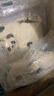 野兽派家居（tbh）熊猫嘭嘭旅行小憩套装毯子帆布袋颈枕办公室午休枕空调毛毯三件套 实拍图