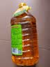 鲁花  食用油 压榨特香非转基因玉米胚芽油5L 实拍图
