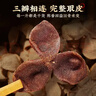 南同四海京仁堂新会陈皮泡水专用茶搭中药材正品官方宗健养脾胃年十10九制 实拍图