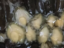 德叔鲍鱼无壳鲍鱼肉100g（约10粒）鲜活鲍鱼加工火锅烧烤食材海鲜生鲜 实拍图