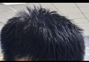 清扬男士防脱去屑洗发水500gx2+试用100g增发密发育发控油热门商品 实拍图