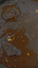 鲜京采 巴西进口原切牛肋肉2斤 牛胸腹部位肋条肉  烤肉炖煮 【真原切】 实拍图