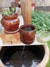 大匠神彩鱼缸底砂鱼缸造景雨花石沙石头装饰铺底石鹅卵石溪流石雨林沙底沙 原生溪砂5斤8-15mm 实拍图