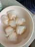 广州酒家虾饺皇240g 8个  早餐 广式早茶点心 生鲜食品速食速冻开学季 实拍图