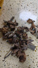 富昌榛蘑150g 东北特产野生榛蘑 山珍菌菇南北干货 小鸡炖蘑菇食材 实拍图
