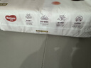 好奇（Huggies）铂金装小桃裤纸尿裤NB84片(5kg以下)尿不湿【透爽散热】 实拍图