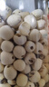 十月稻田 莲子 250g 半斤 湘潭产去芯磨皮白莲子 桂圆百合银耳羹煲汤食材  实拍图