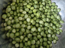 新鲜豌豆四川带壳青豆角水果甜豆荚农家蔬菜 四川新鲜青豌豆荚净重5斤 实拍图