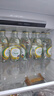 泰象【小晞专属-2箱送赠品】苏打水百香果味325ml*24瓶 整箱 实拍图