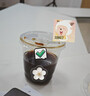 COSTA黄油黑巧风味咖啡豆京东专供深烘油脂丰富黑咖啡手冲奶咖908g 实拍图
