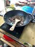 炒锅不粘锅家用牛排煎锅电磁炉明火通用菜锅 无油烟 魔力不粘 36cm超大无盖+木铲海绵 1寸 实拍图