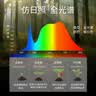 三思京东集采JC系列全植物补光灯仿太阳全光谱 植物灯 盆栽夹子灯-7W 实拍图