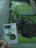 INSTAX富士instax立拍立得 mini相纸 白边双包20张(适用miniSE/11/12/40/90/LiPlay/EVO/Link3) 实拍图