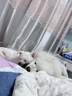 冠能狗粮成犬小型犬狗粮7kg 挑食美毛亮眼 全价狗粮  实拍图