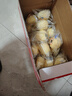 港荣蒸蛋糕奶香900g面包零食早餐饼干嫩鸡蛋西式糕点心甜品母亲节礼物 实拍图