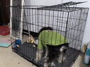 宠乐乖（CHONGLEGUAI）狗笼猫笼狗笼子中小型犬带厕所幼犬折叠便携猫笼子猫咪兔笼700ZG 实拍图