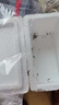 炊大皇炒锅铁锅无涂层铸铁锅多用传世34cm电磁炉通用炒菜锅C34D2 实拍图