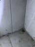 雨虹防水防霉耐黄变美缝剂十大品牌瓷地砖美缝胶防水勾缝填缝剂 亚浅灰 实拍图