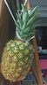佳农 黑钻菠萝1粒装 菲律宾凤梨 净重2斤起 生鲜水果 源头直发 包邮 实拍图