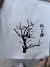 东方鼎（EAST TOP）EASTTOP 蓝调12孔FALA布鲁斯口琴灰色F1201  实拍图