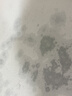 迪士尼（Disney）硅藻泥吸水地垫 卫生间地垫 浴室防滑垫 门口地垫脚垫 厕所地垫 实拍图