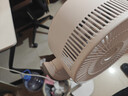 艾美特（AIRMATE）【小暴风PRO】空气循环扇家用大风力摇头电风扇卧室安静轻音小风扇桌面台式节能落地扇电扇 X231 实拍图