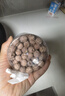 丙田 有机红莲子230g 去芯通芯磨皮干莲子2025年新鲜干货无熏硫银耳羹 实拍图