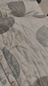 SEEDBALL公共洗衣机消毒片次氯酸钠泡腾片洗地机拖地母婴衣物游泳池消毒液 实拍图