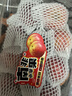 长黄瓜约600g 实拍图