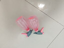 喷壶浇花浇水喷雾器气压式喷水壶家用园艺养花500ml 南瓜喷壶透粉【2个装】 实拍图