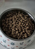皇家狗粮 成犬粮 通用犬型 CC通用狗粮12月以上 8KG【成犬通用】 实拍图