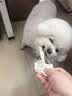 农香森麻辣鸡脚筋250g罐装鸡掌中宝脆骨鸡爪网红追剧爆款办公室零食 实拍图