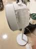 美的（Midea）【暴风循环】空气循环扇大风量摇头电风扇家用台式落地扇轻音卧室节能小风扇柔风轻羽扇 FGA24TQ 实拍图