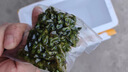 云山半香麻青花椒350g 冷冻锁鲜 川渝特产鲜椒 火锅调料 实拍图