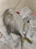 环球水产南海大号金鲳鱼550g1条海鱼生鲜鱼类火锅烧烤海鲜 实拍图