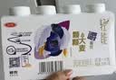 三元雪凝鲜酪低温老酸奶风味发酵乳原味酸牛奶800g/盒新老包装交替发 实拍图