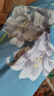 北极绒（Bejirog）100%纯棉被套单件全棉斜纹被罩学生宿舍被单单双人四季床上套件 美人如玉X 【双面100%纯棉】 单人床三件套【被套150*200cm】 实拍图