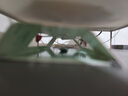 榄菊 蟑螂屋20片蟑螂药全窝端除蟑螂灭蟑螂贴杀蟑螂捕捉器驱蟑螂器 晒单实拍图