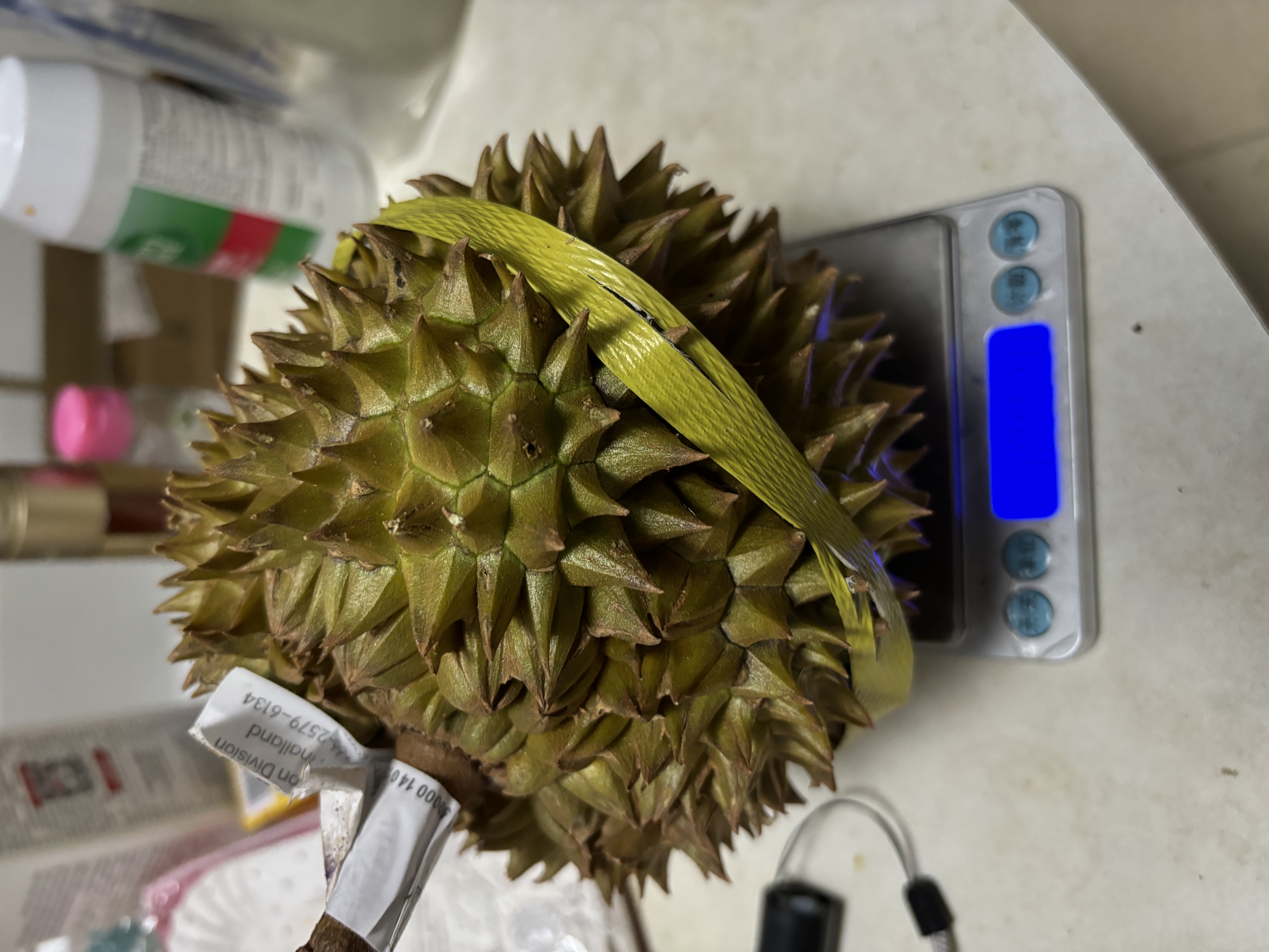 落沙园泰国进口现货金枕头榴莲【顺丰空运】老树果当季新鲜整个带壳水果 金枕榴莲2-3斤【巴掌果】 实拍图