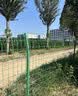 源兴（YUANXING）铁丝网围栏网养鸡/鸡舍/鱼池/山地/高速公路护栏网钢丝网隔离网 6.0毫米1.8米高3米长+立柱 实拍图