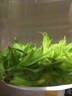 小叶苦丁茶特级2026嫩芽正宗贵州苦丁新茶叶降i血压血糖泡水喝 全家共享囤货 足量新茶 远离火气困扰 125g*8罐 实拍图