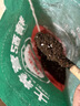 花语营养土养花通用型家用多肉兰花育苗专用土泥炭土壤种植土花土 花语育苗有机基质50L 实拍图