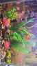 萌嘟星宠仿真水草鱼缸造景套装水族箱布景装饰摆件假植塑料假水草 11件套 实拍图