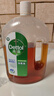 滴露（Dettol）消毒液衣物消毒水1.8L*2 洗衣除菌家居除螨杀菌 灭活HPV16病毒 实拍图